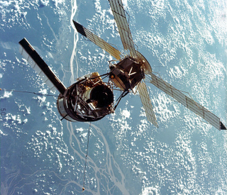 Illustration for article titled The First Animals In Space